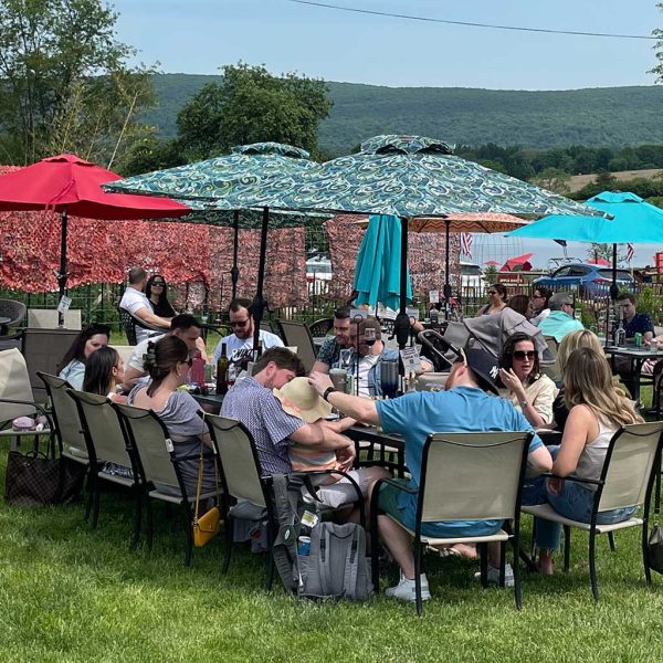 family-afternoon-at-Applewood Winery